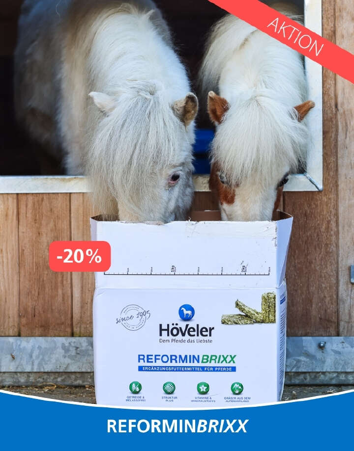 Höveler Banner Webshop Mobil Reforminbrixx 780px x 996px